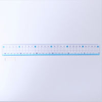 サンフレイムジャパン 直線定規 30cm 500-2246 1セット(10個)（直送品）