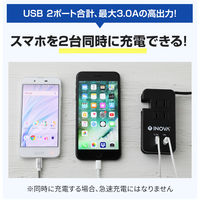 【アウトレット】再値下げ 電源タップ 24cm 3個口 USB-A/Type-C INOVA たぷもちたけし PD18W 3R-TAC07BK
