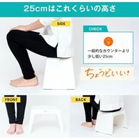 アスベル リアロ 風呂イス 30ホワイト 5315 6個（直送品）