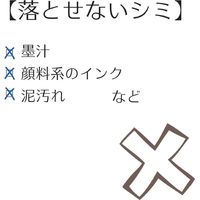 エポックケミカル 携帯衣料用シミ取り しみとり shimitori dgs フラワーガーデン 782-0300 1セット(1本×6)