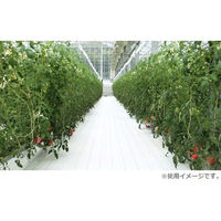 シンセイ UV剤抗菌剤配合防草シート ホワイト 2x100m　1巻（直送品）