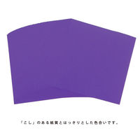 エヒメ紙工 両面同色おりがみ 単色 むらさき 15cm ESC-07 1セット（300枚：100枚×3）