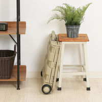 不二貿易 フォールディングキャリーカート L 蓋付き BE 86440 1個