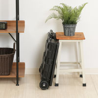 不二貿易 フォールディングキャリーカート L 蓋付き BK 86443 1個