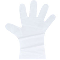 エブノ No.3061 エブケアシルキーグローブ 使い捨て手袋 半透明 箱入 Lサイズ 1セット(100枚×10箱)