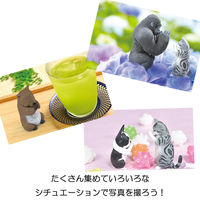 エール フィギュア 合掌 四拝 BOX 1個入 1個入×10セット（直送品）