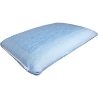 iiもの本舗 極冷感 ダブルクール 低反発枕 サックス 約28X39cm 1個入×2セット（直送品）