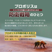 八幡物産 やわた ヘルスサポート プロポリス 1ケ月分 90粒入 1箱(90粒入)（直送品）
