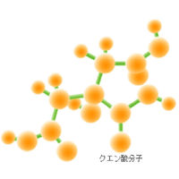 スター食品工業 高濃度クエン酸飲料 シトラックス 500ml 1個(500ml入)×3セッ（直送品）