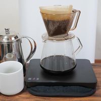 サンコー 小さくてもずっとあったか~い「フードウォーマープレートSサイズ」 TKFWPLS 1台（直送品）