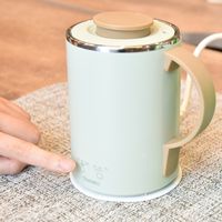 サンコー 沸かしてそのまま飲める「おひとりさま用マク゛ケトル」ミントグリーン S-MCH21M 1個（直送品）