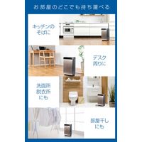 YAMAZEN コンパクトクーラー 冷風・送風・除湿 除湿量4.4L YEC-LD03C(CG) 1台