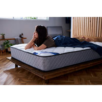 アイリスオーヤマ マットレス セミダブル ベッドマットレス ラテックス 抗菌防臭 ポケットコイルマットレス 厚さ25cm PMTS25N-SD（直送品）