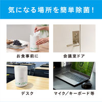 アイリスオーヤマ 除菌ができるウェットティッシュ 詰め替え用 ノンアルコールタイプ 100枚 WTT-100N 1個