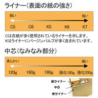 ロジマート 100サイズ ダンボール C5 AF 60枚【NO32】 51z32-60 1セット（直送品）