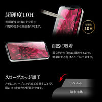 MSソリューションズ iPhone 13 mini ガラスフィルム 全画面保護 ソフトフレーム LP-DS21FGS 1個