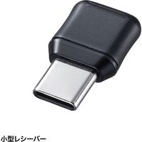 サンワサプライ ワイヤレスキーボード 無線 パンタグラフ Type-C接続 コンパクト ブラック SKB-WL31CBK 1個（直送品）