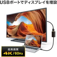 サンワサプライ USB Type-Cハブ付き HDMI変換アダプタ USB-3TCH35BK 1個