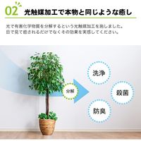 ファミリー・ライフ 人工観葉植物 ベンジャミン&幸福の木 インテリアグリーン 0396510 1セット(2本入)