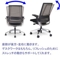 藤沢工業 TOKIO オフィスチェア ブラック OCV21SA BKBORDER 1脚（取寄品）