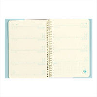 デザインフィル HF ダイアリー ＜B6＞ 育児 26258006 1冊（直送品）