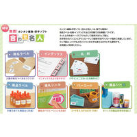 コクヨ カラーLBP&コピー用耐水紙ラベル A4 20枚入 LBP-WP6924N 1セット(40枚:20枚入×2袋)