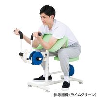 アズワン ダンベルアームカール スカイブルー DAC-SB 1台 8-447-01（直送品）