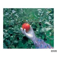 ショーワグローブ ピッタリ背抜き L 260-L 1双 63-9309-91（直送品）