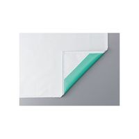 船橋 ビニロンエプロン コシ ホワイト×グリーン M AF-810e WH GR 1枚 67-0319-82（直送品）