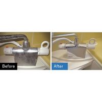 ビアンコジャパン ビアンコ ウロコクリーナーパーフェクトセット US-101PS 1セット 554-5807（直送品）