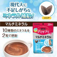 UHA味覚糖　UHAグミサプリ　マルチミネラル（20日分）　ココア味　1袋（40粒入） 　サプリメント