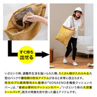 【防災】ドリーム　プロイデア　SONAENO 多機能クッションカバー グレージュ 0070-4194-00 1個