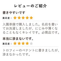 パイロット 布書きペン 細字 タフウォッシュ ブラック MNN-12F-B 1本