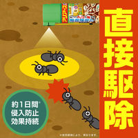 アリアースW 300mL スプレー アース製薬