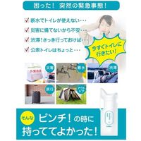 ジット jit 今すぐトイレ(10枚入り) PT-10P 1セット(10個) 552-1158（直送品）