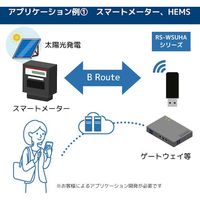 ラトックシステム WiーSUN USBアダプター RS-WSUHA-P 1個 573-0963（直送品）