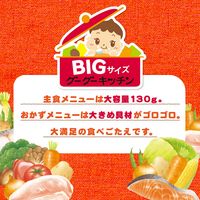 BIGサイズのグーグーキッチン 1歳4か月おすすめセット 5種×2袋 1箱 アサヒグループ食品株式会社