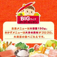 BIGサイズのグーグーキッチン 12か月おすすめセット 5種×2袋 1セット（1箱×4） アサヒグループ食品株式会社