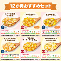 具たっぷりグーグーキッチン 12か月おすすめセット 6種×2袋 1セット（1箱×8） アサヒグループ食品株式会社