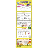 フレッシュライト メガメガブリーチ ヘンケルジャパン