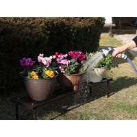 【散水用品】 グリーンライフ ひっかけノズルTwin HNT-D6SL 1個