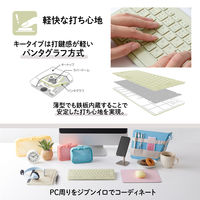 ワイヤレスキーボード 無線 2.4GHz 薄型 テンキーレス パンタグラフ プラス GR TW-KB002 1個