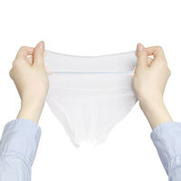 水切りネット ストッキングタイプ 排水口・三角コーナー 兼用 ヌメリ・臭いにくい 抗菌 1箱（100枚入）ストリックスデザイン