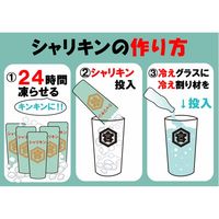 キンミヤ焼酎 シャリキン パウチ 20度 90ml 1セット（1個×5） 宮崎本店 金宮 甲類