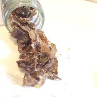 犬用 おやつ Bon・rupa 砂肝すらいす 国産 15g 1個 ボンルパ