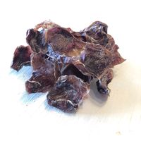 犬用 おやつ Bon・rupa 京 砂肝こりこり 国産 40g 1袋 ボンルパ