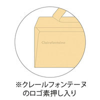 クレールフォンテーヌ ポレン封筒 洋2 ミントグリーン 1 cf55336 1パック