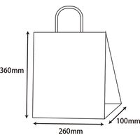 シモジマ スムースバッグ Sー100 未晒無地 003155602 1袋(25枚)