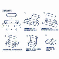 シモジマ ナチュラルBOX Zー12 006201210 1束(10枚)