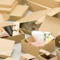 シモジマ ナチュラルBOX ECO・Zー5 006204050 1束(10枚)